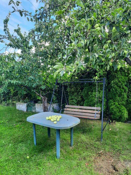 Działka rekreacyjna ROD