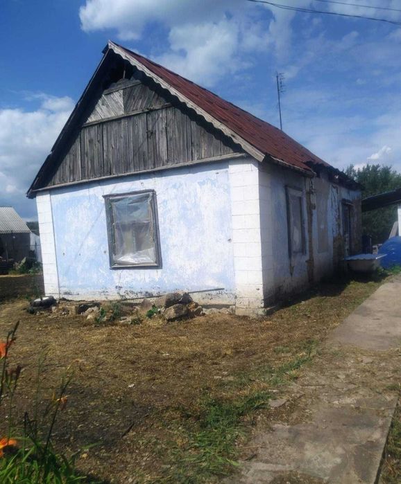 Очистка участка, спил деревьев, покос травы.