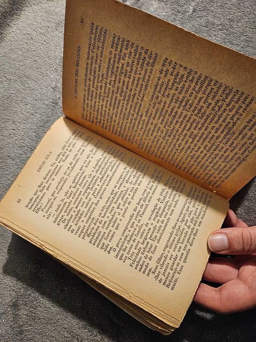 A Fortuna dos Rougons – Emílio Zola, livro antigo, romance, anos 20