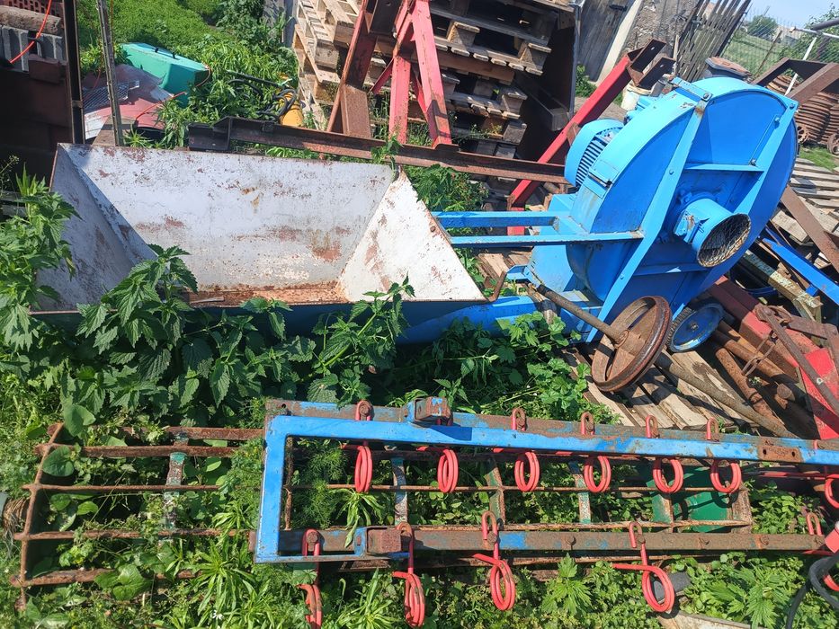 wyka jara facelia mieszanka gorzowska