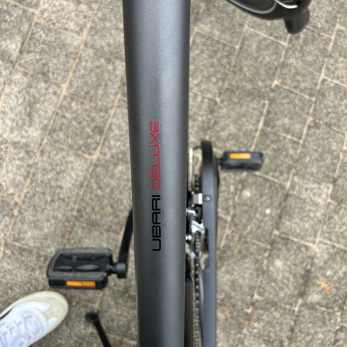 Rower Diamant Ubari Deluxe