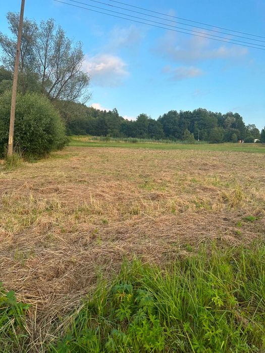 Działka budowlana 18.5 a Nowy Borek - Widok 2