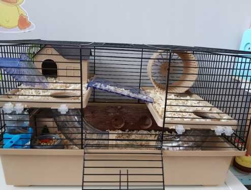 Клітка для хомячка