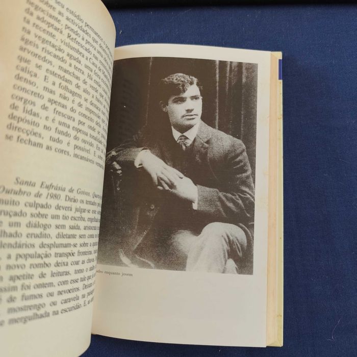 Mário Cláudio - Amadeo