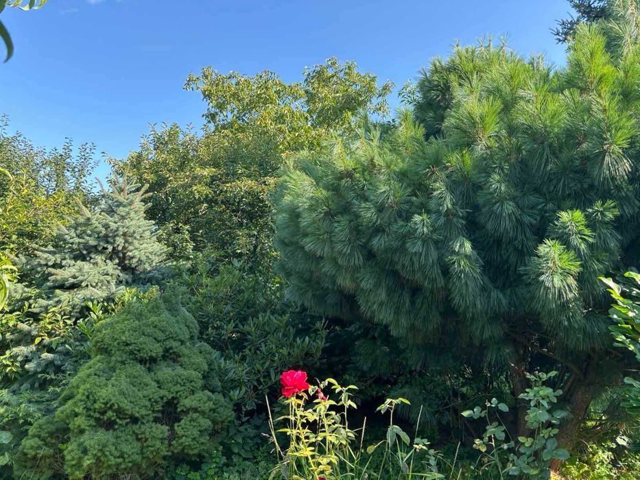 Будинок за адресою вул. Капеланська (площа 297 м²) - Atlanta.ua - фото 12