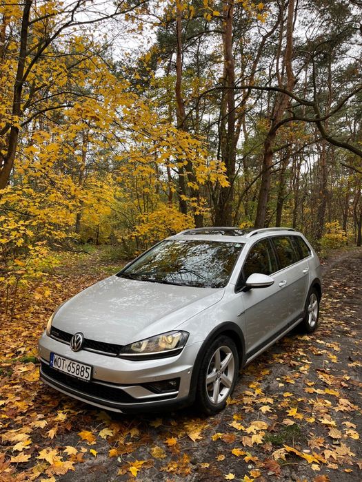 Volkswagen Golf VII Variant Alltrack 4Motion – 1.8 TSI / niski przebieg/ bogata wersj