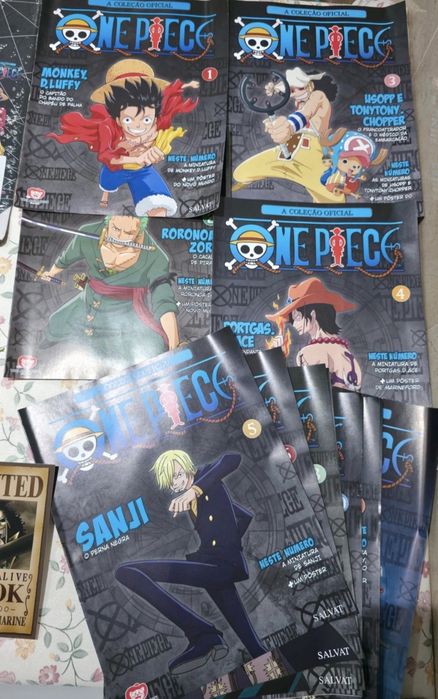 Coleção Oficial Salvat – One Piece
Ideal para fãs e colecionadores!