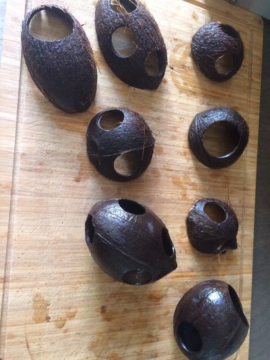 Kokos do akwarium krewetkarium