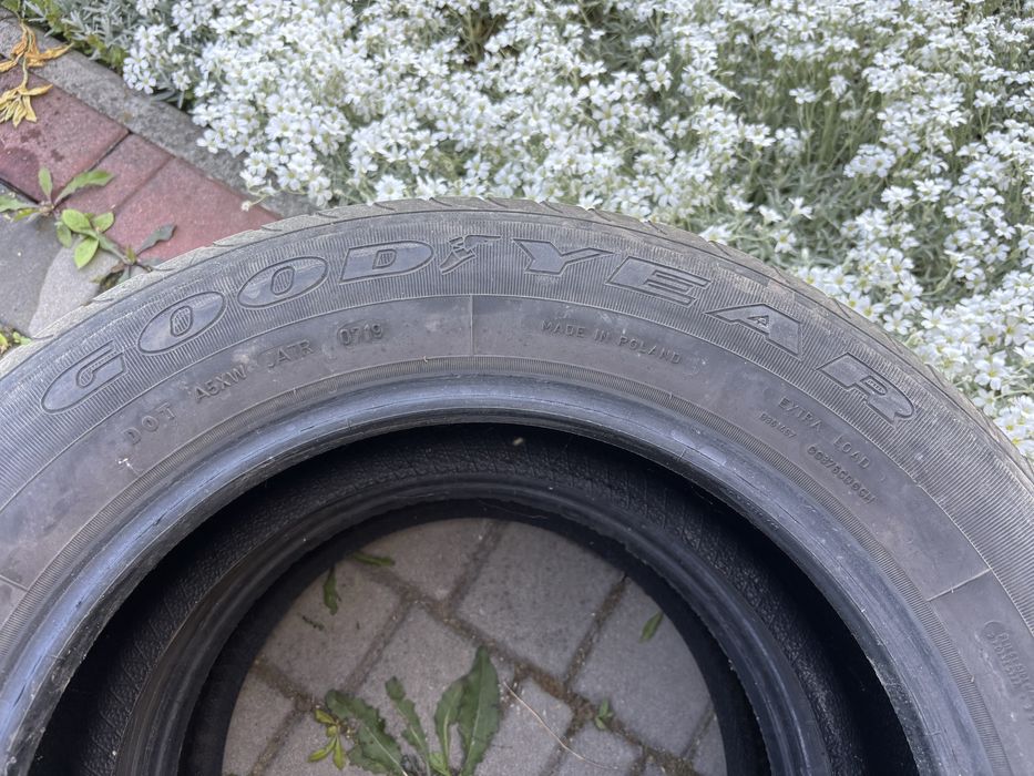 GoodYear 205/60/R16 2019 рік