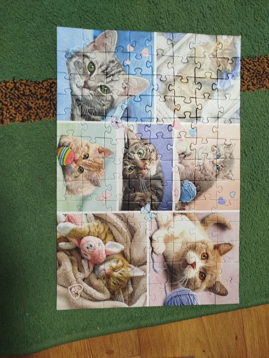 Пазли 100 штук 5+