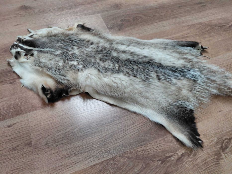 Skóra Naturalna z Borsuka Kanadyjskiego Skóra Dekoracyjna BORSUK