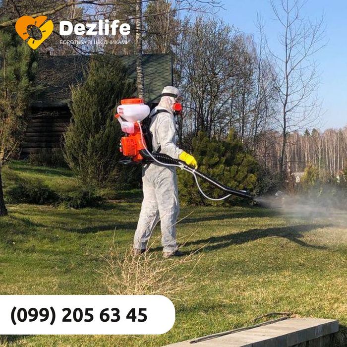 Травля тараканов клопов крыс Устранение грибка и плесени