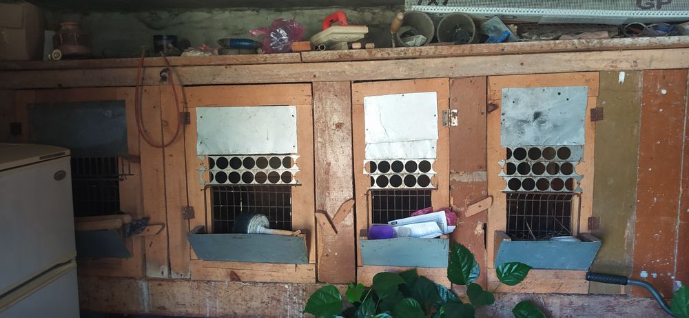 Продам клітки для кролів