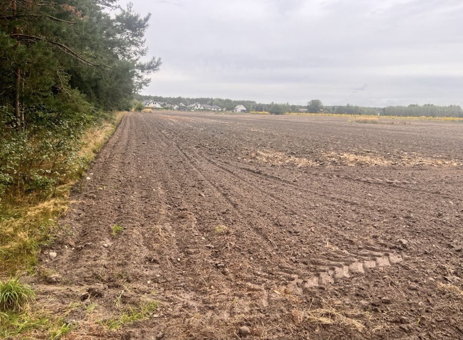 Działka budowlana 1300 m² | MPZP | Borowo I | Koluszki | 250 000 zł