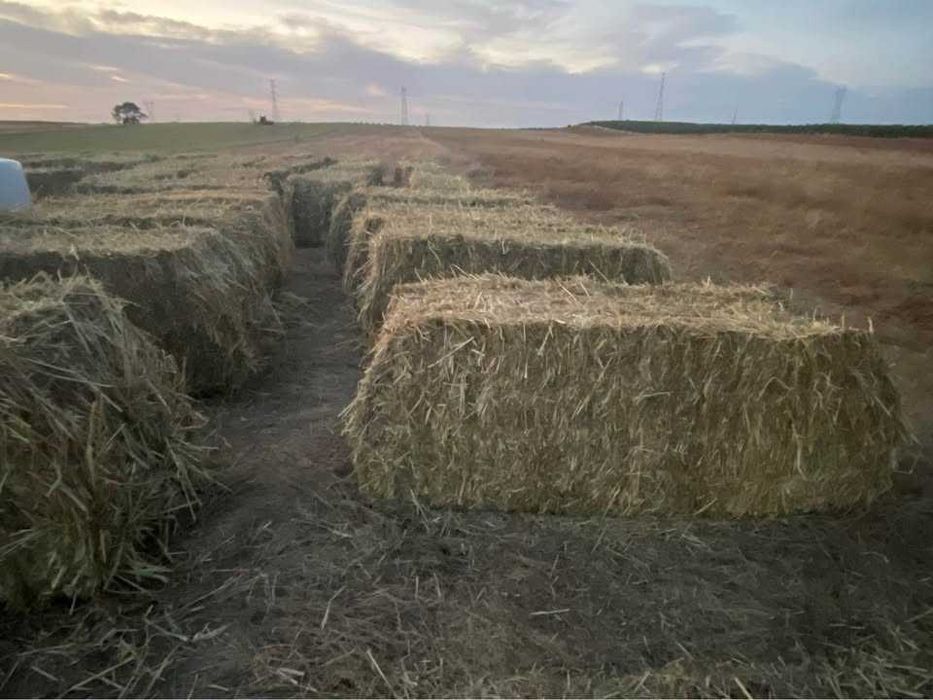 Venda de fardos de feno