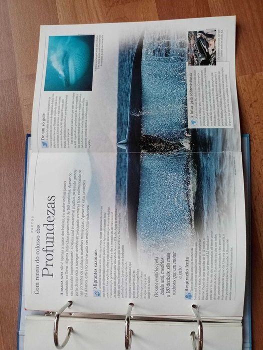 Livro do mundo animal