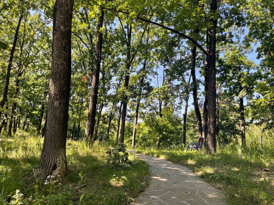 Лісники. КМ Зелений Гай. Будинок з басейном та панорамним краєвидом!