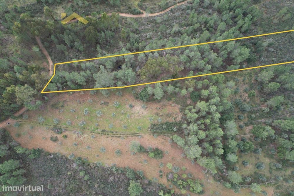 Terreno Rústico  Venda em Freixial e Juncal do Campo,Castelo Branco