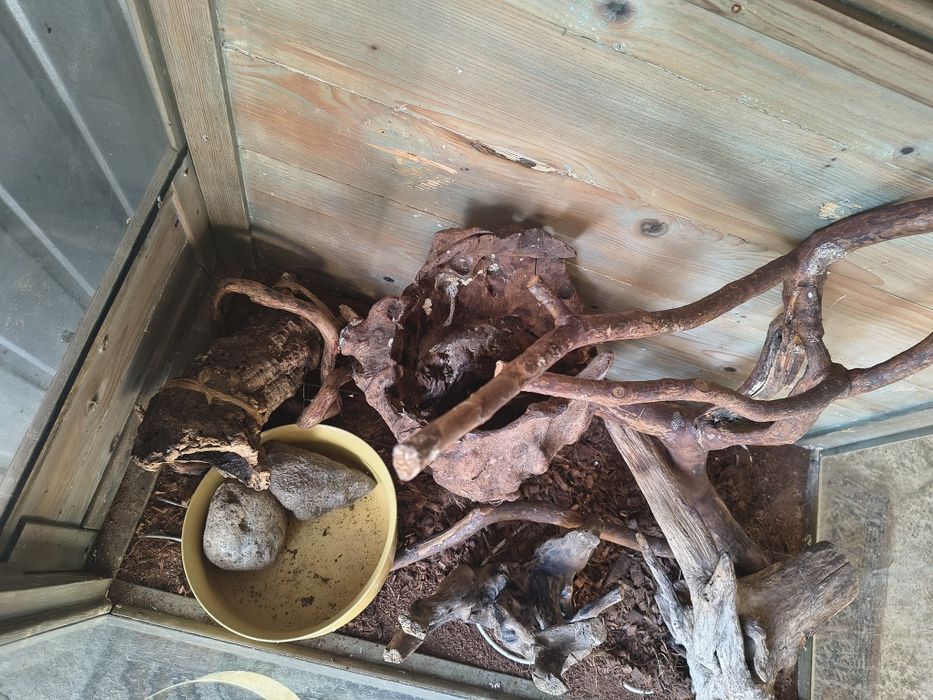 Terrarium plus wyposażenie