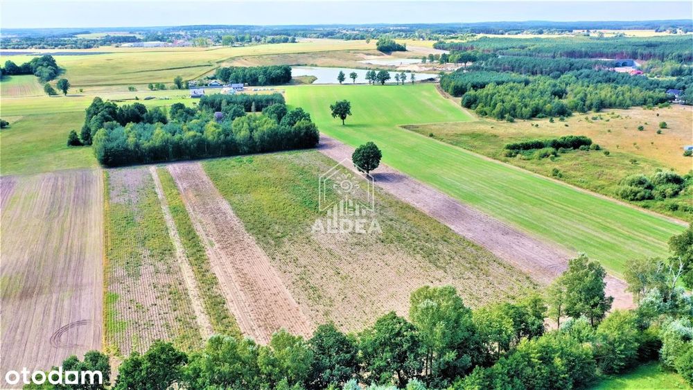 Działki ZE Znakomitym Dojazdem DO Bydgoszczy