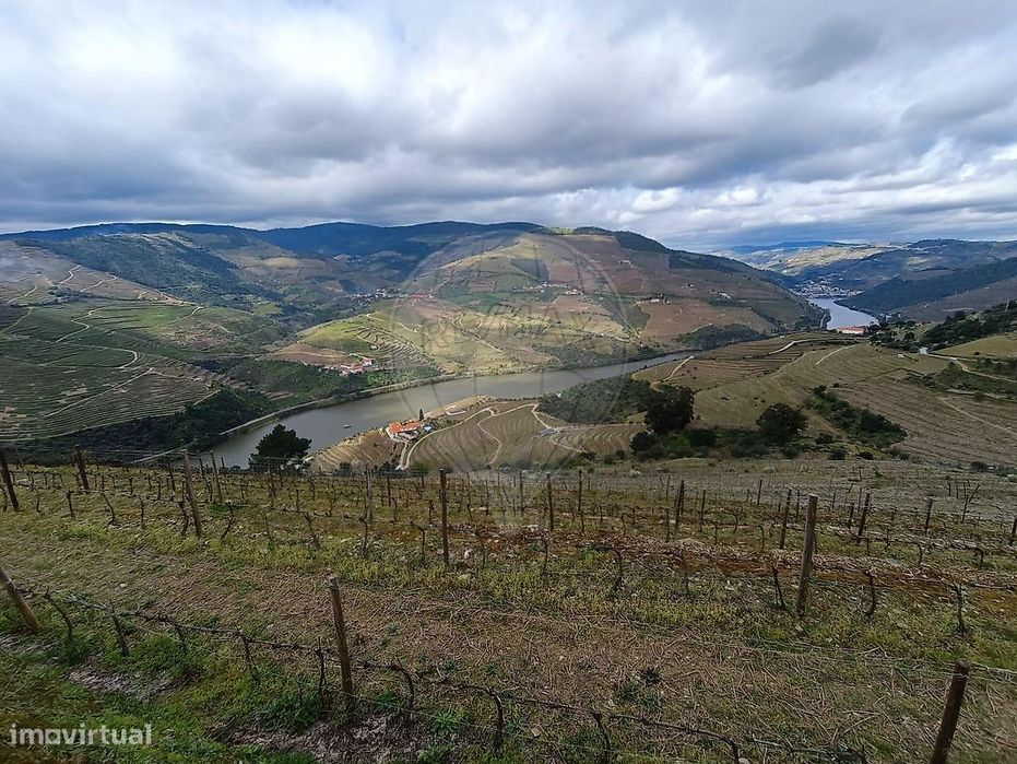 Terreno  para venda