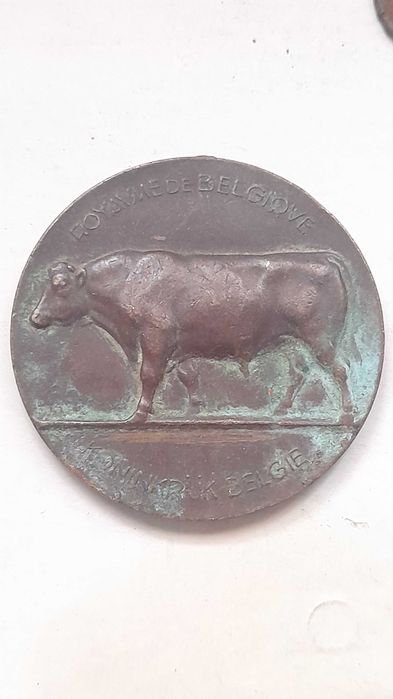 Medalha antiga interessante