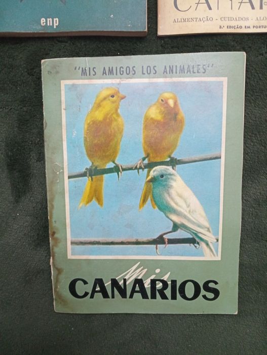 3 livros sobre canários	anos 60	muito raros!	Exemplares unicos