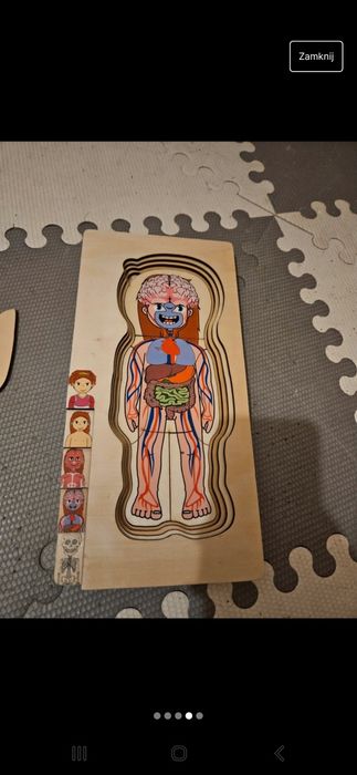 Drewniane puzzle anatomiczne
