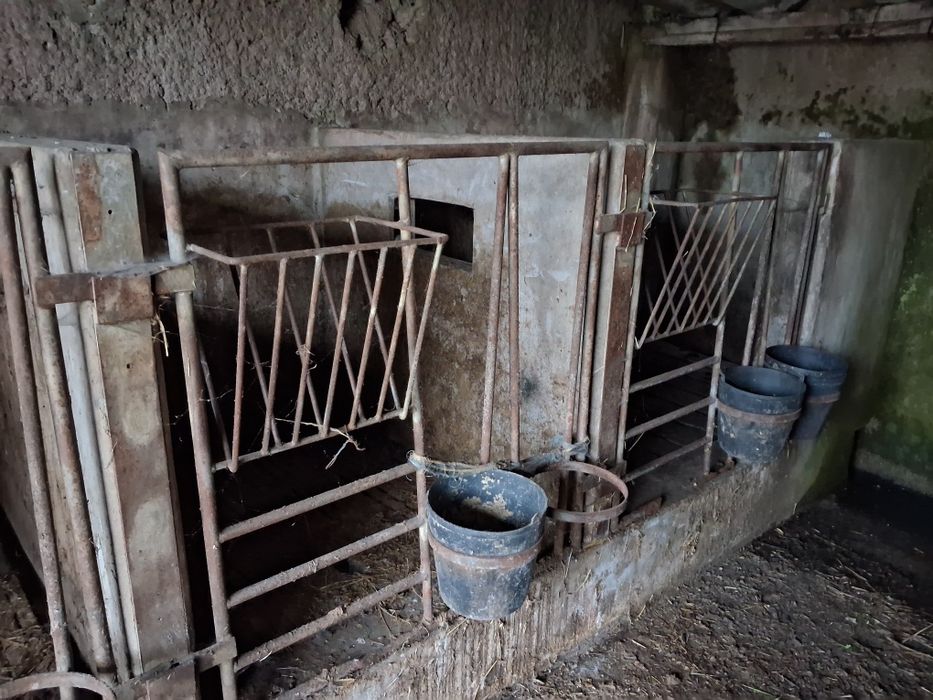 4 Estruturas metálicas para vitelários