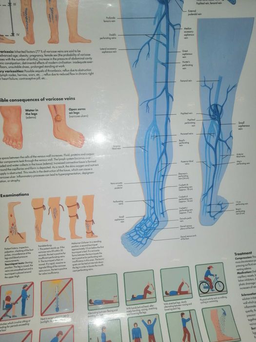 Mapa do corpo humano