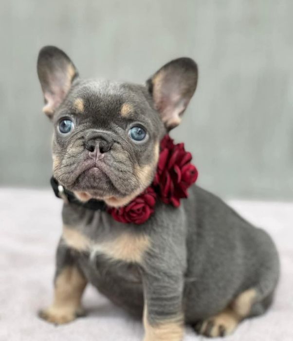 Чудовий Малюк.блакитний,