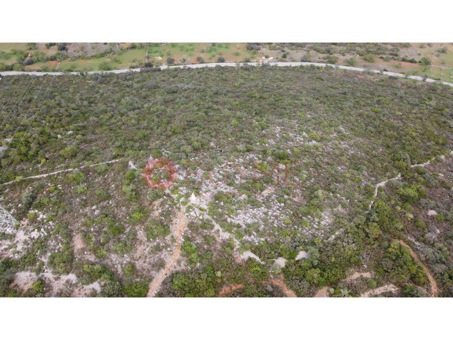 Terreno Rústico com Oliveiras e Alfarrobeiras em S. Brás de Alportel — São Brás de Alportel, Faro