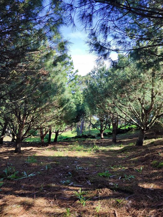 Vendo Terrenos - Vários