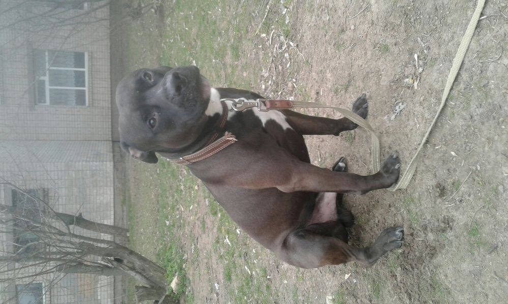 Безкоштовно