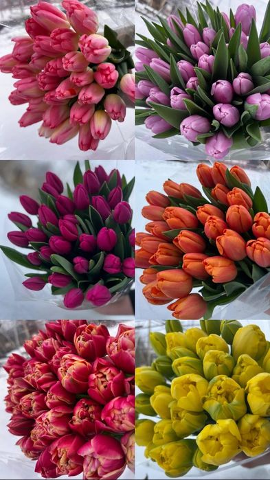 Тюльпан оптом від виробника  (опт роздріб) доставка квітів Полтава