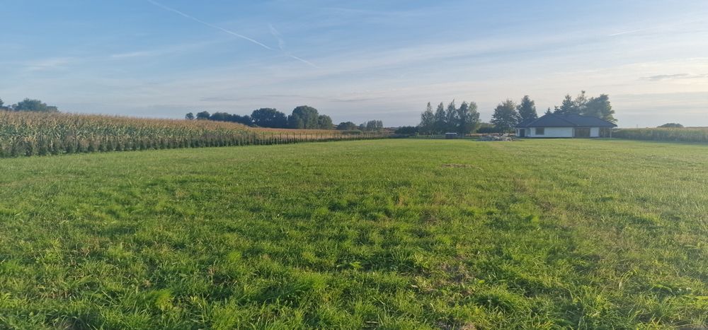 Sprzedam działke Owczary