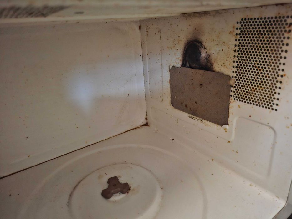 Микроволновка делонги.