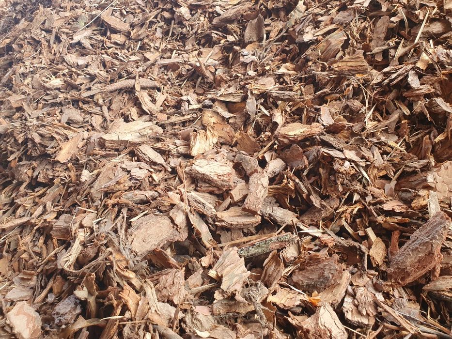 Kora sosnowa ogrodowa