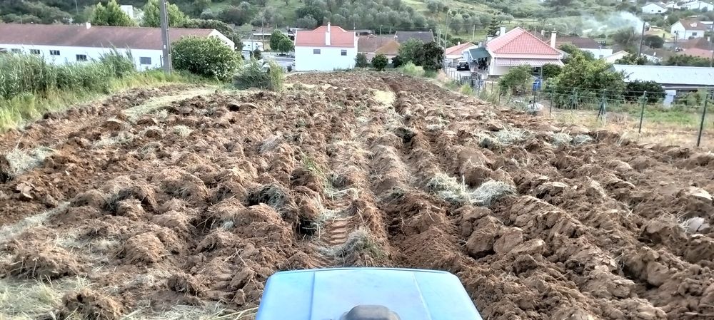 Serviços agrícolas