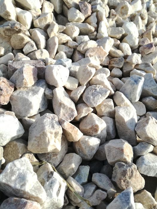 Grys cappuccino Leszno Wschowa Rawicz Kościan Gos