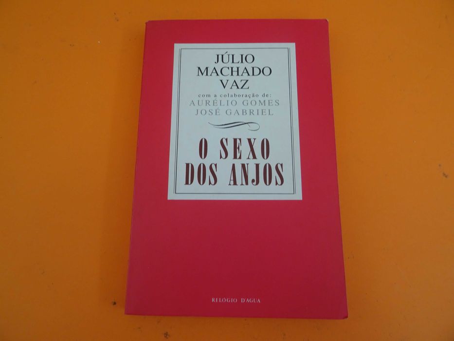 O sexo dos anjos - Júlio Machado Vaz