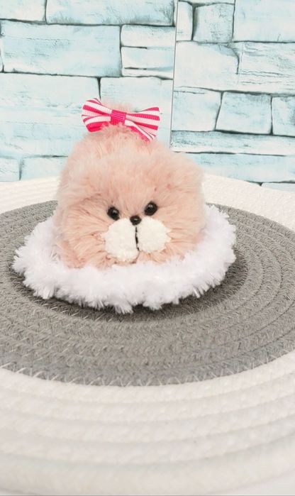 Кошенята, бразкальце їжачок та інші