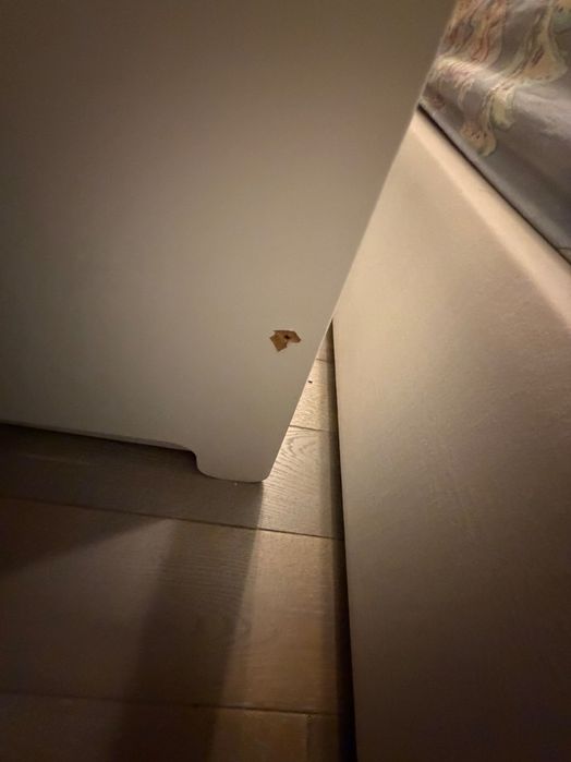 Łóżko dziecięce pinio 3 poziomowe ZA DARMO