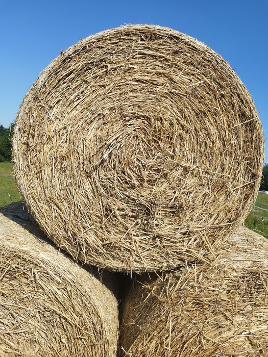 Słoma Przenżytnia 130