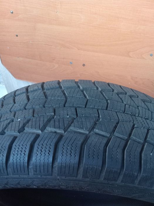 Зимові шини Gislaved euro frost 6