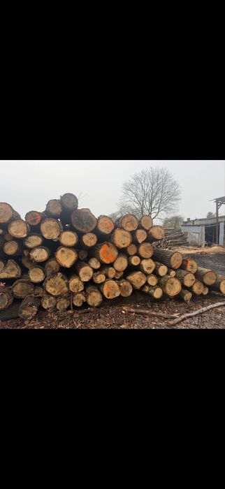 Drewno Kominkowe Dąb