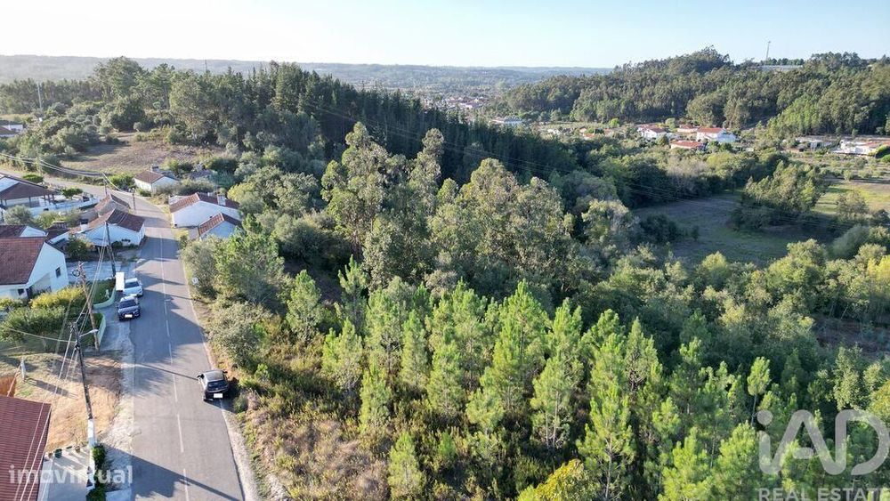 Terreno para construção em Pelariga