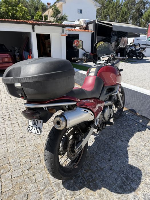Suzuki XF 650 Freewing