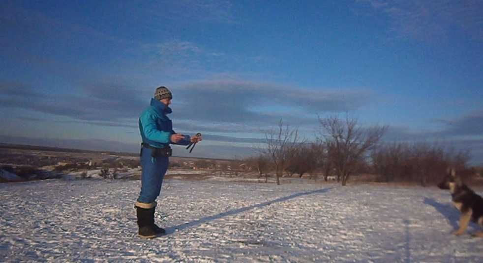 Індивідуальні  уроки  з Дресерування собак.