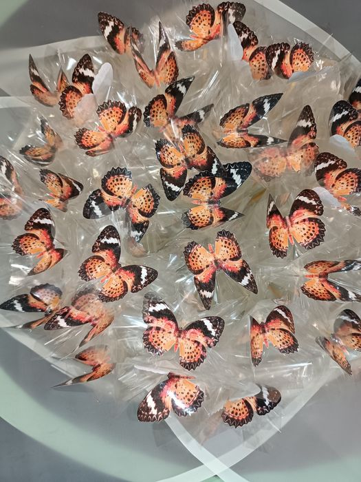 Букет з метеликами